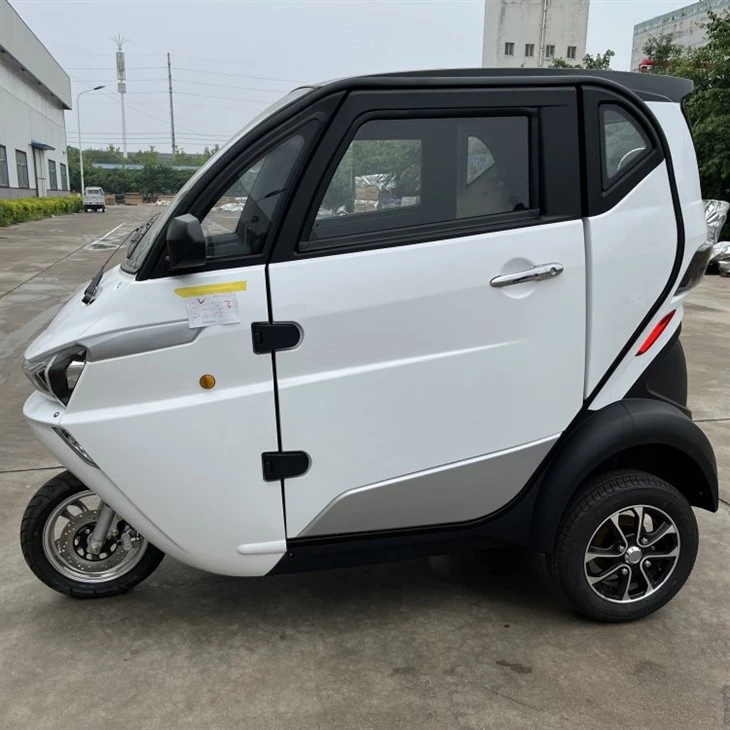 Nouvo enèji twa wou elektrik machin pou granmoun