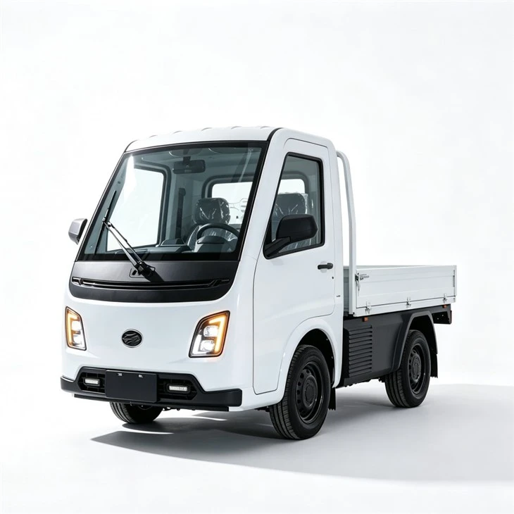 EEC Certificate 3000w Motor 3 Wheels Delivery Electric Cargo Tricycle For Adults best