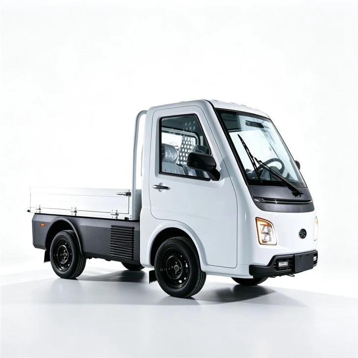 EEC Certificate 3000w Motor 3 Wheels Delivery Electric Cargo Tricycle For Adults high quality