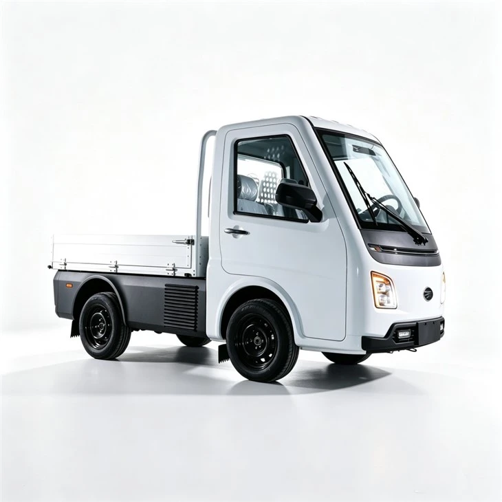 EEC Certificate 3000w Motor 3 Wheels Delivery Electric Cargo Tricycle For Adults factory